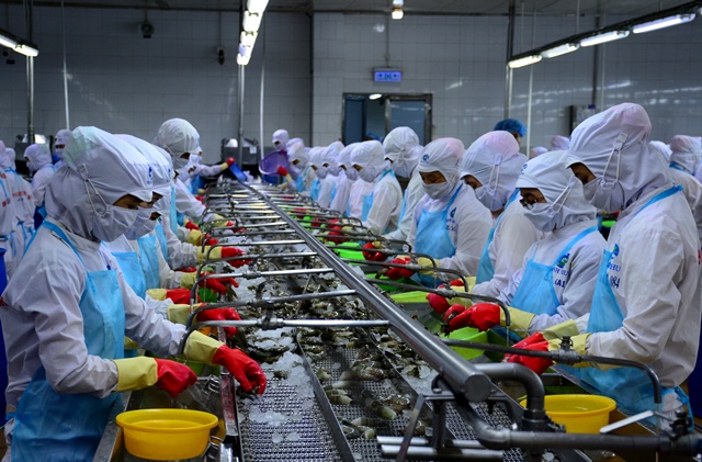 Cà Mau tổ chức thực hiện Tổng điều tra Kinh tế và Điều tra cơ sở hành chính năm 2021